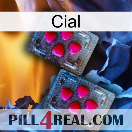 Cial 14